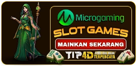 Microgaming